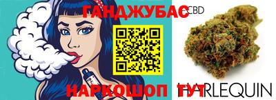 дурь Сланцы
