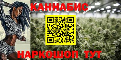 дурь Сланцы