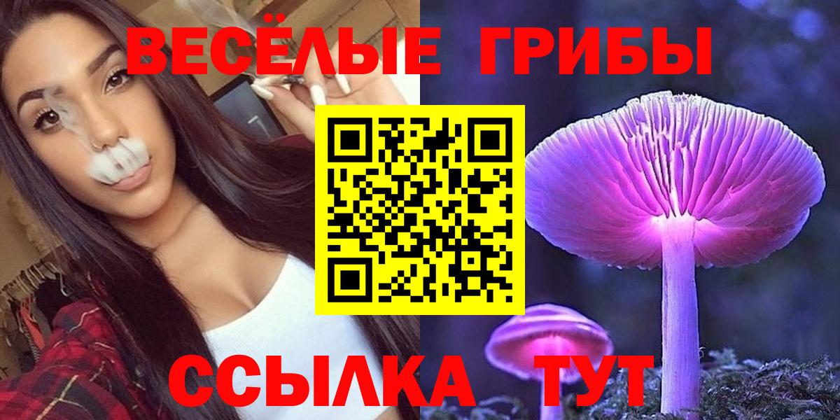 Новочебоксарск  Псилоцибиновые грибы GOLDEN TEACHER  Галлюциногенные грибы Cubensis  Вход с VPN 